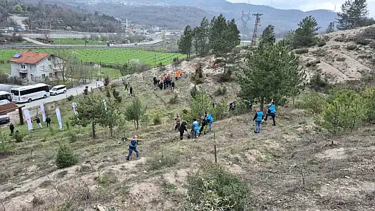 Bartın'da hükümlüler fidan dikti