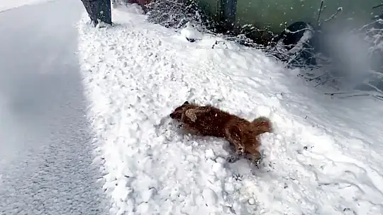 Bartın'da kar yağdı renkli renkli görüntüler ortaya çıktı