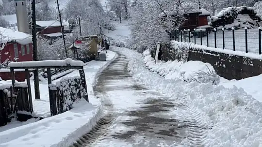 Bartın'da karla mücadele çalışmaları devam ediyor