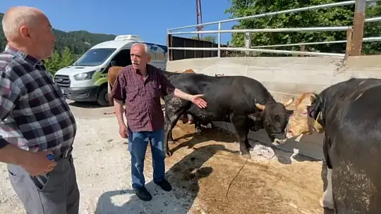 Bartın'da kurbanlar dualarla kesildi