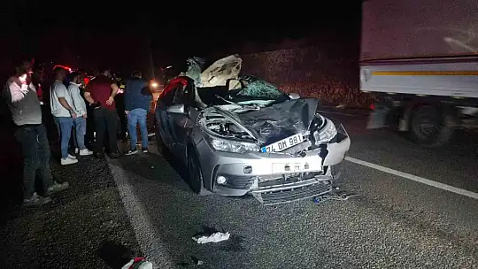 Bartın'da otomobil büyükbaş hayvana çarptı: 1 yaralı