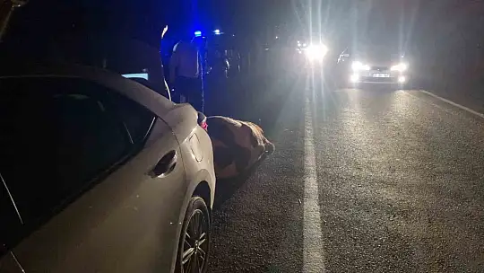 Bartın'da otomobil büyükbaş hayvana çarptı: 1 yaralı