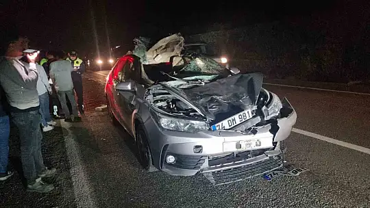 Bartın'da otomobil büyükbaş hayvana çarptı: 1 yaralı