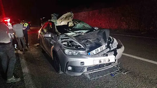 Bartın'da otomobil büyükbaş hayvana çarptı: 1 yaralı