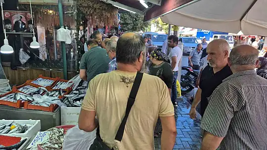 Bartın'da palamutun tanesi 60 TL'ye düştü