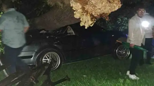 Bartın'da şiddetli fırtına: ağaçlar Otomobillerin üzerine devrildi