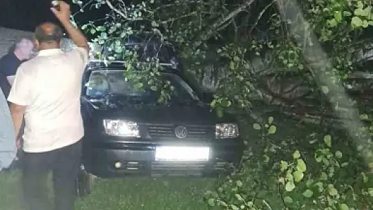 Bartın'da şiddetli fırtına: ağaçlar Otomobillerin üzerine devrildi