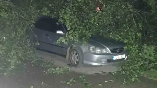 Bartın'da şiddetli fırtına: ağaçlar Otomobillerin üzerine devrildi