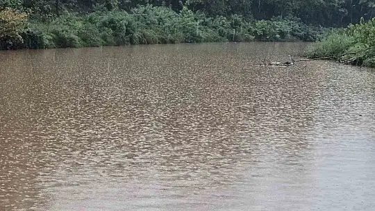 Bartın'da yağış etkiliyor