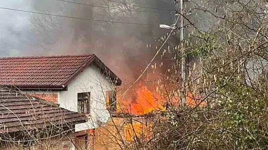 Bartın'da yanan ev kullanılamaz hale geldi
