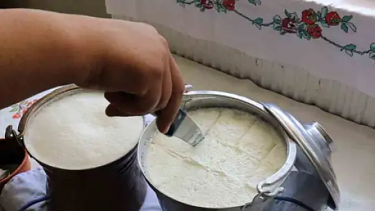 Bartın'ın meşhur manda yoğurdu Kültürel Miras listesine eklendi