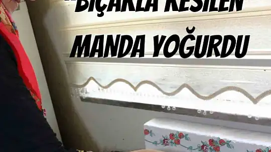 Bartın'ın meşhur manda yoğurdu Kültürel Miras listesine eklendi