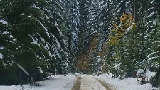 Bartın'a yılın ilk karı düştü