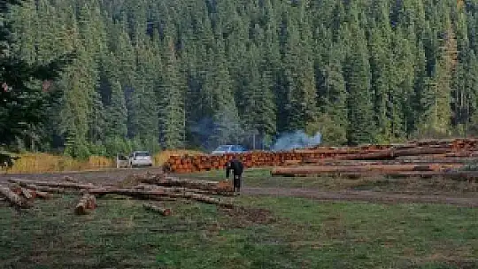 Bartın'a yılın ilk karı düştü