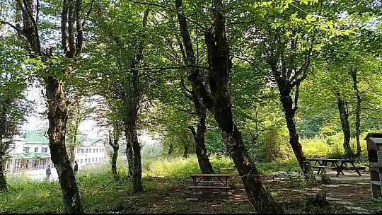 BARÜ'lü akademisyenlere özel piknik alanı