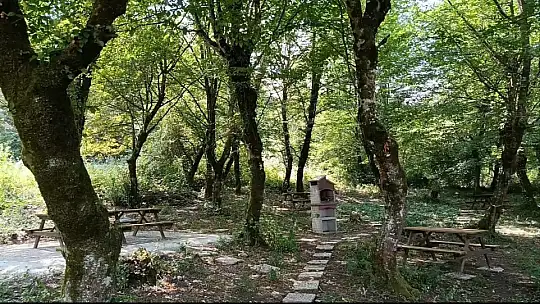 BARÜ'lü akademisyenlere özel piknik alanı