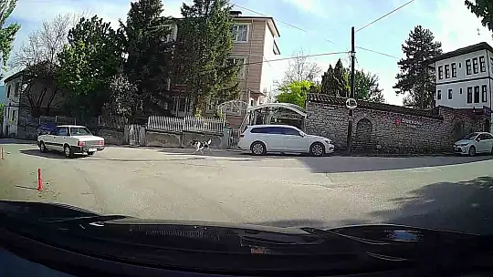 Başıboş köpek tavuğu alıp hızla uzaklaştı