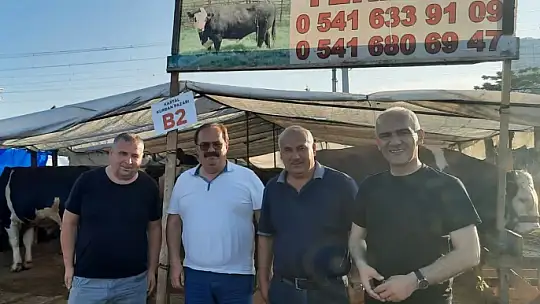 'İstanbul'a sevk edilen kurbanlıkların yüzde 60'ı satıldı'