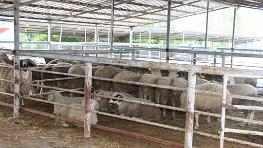 Bayrama günler kala hayvan pazarında sessizlik