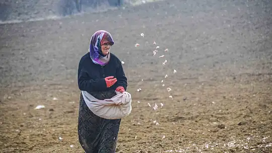 Belediye Başkan Arslan'dan Taşköprü sarımsağı uyarısı