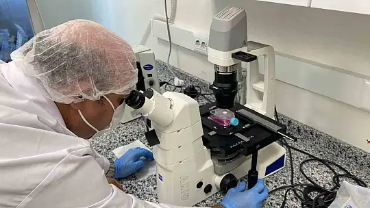 Beyin kanseri tedavisinde yerli ve etkili nano molekül geliştirildi