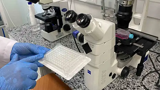 Beyin kanseri tedavisinde yerli ve etkili nano molekül geliştirildi