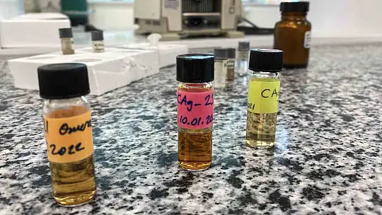 Beyin kanseri tedavisinde yerli ve etkili nano molekül geliştirildi