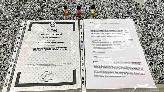 Beyin kanseri tedavisinde yerli ve etkili nano molekül geliştirildi