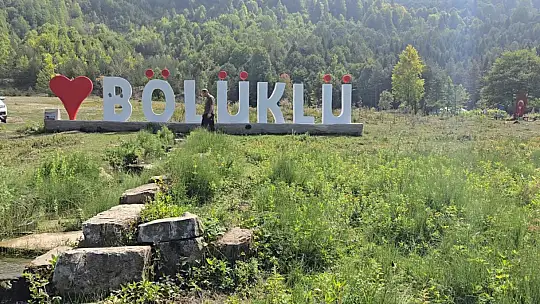 Bin 200 kilometre uzaktan gelip diktiği fidanlar orman oldu