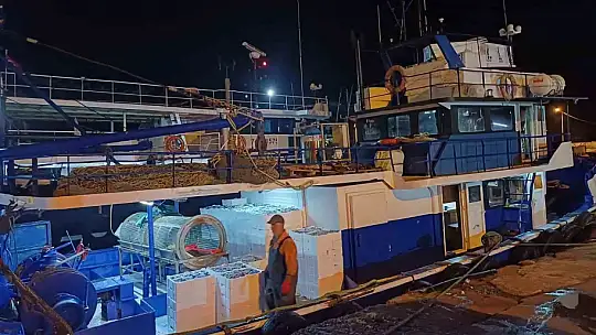 Bir ayda 198 ton hamsi çıkışı oldu