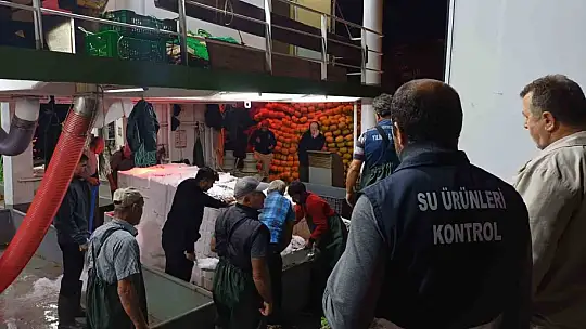 Bir ayda 198 ton hamsi çıkışı oldu
