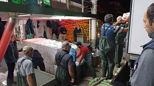 Bir ayda 198 ton hamsi çıkışı oldu