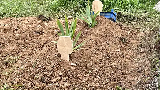 Bebeğinin ölümüne sebep olan kadına 22 yıl hapis cezası