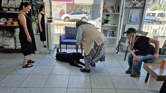Bir yıl sonra