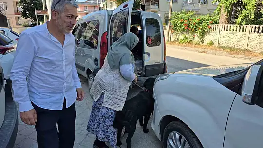 Bir yıl sonra