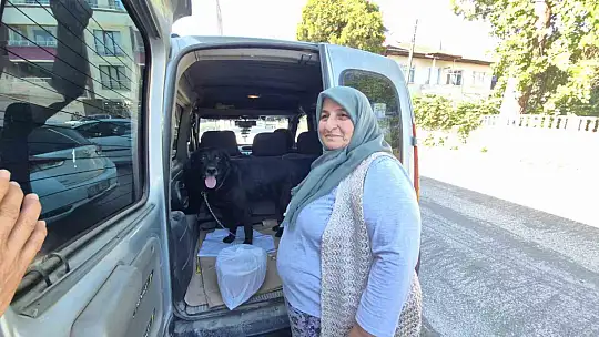 Bir yıl sonra