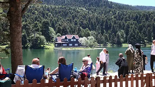Bolu'da 'ateşli piknik' tamamen yasaklandı