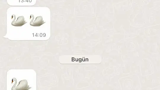 Bolu'da 'kuğu' emojisiyle doktorların rüşvet iddiasında yeni gelişme