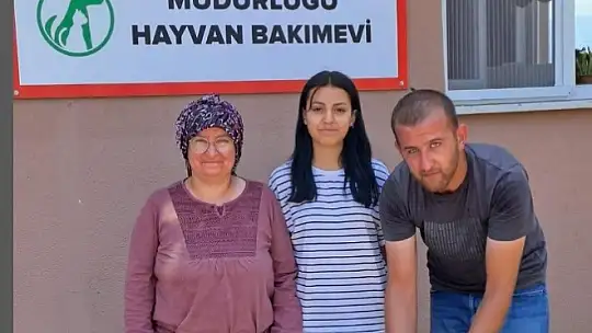 Bolu'da 10 sahipsiz sokak hayvanı yeni yuvasına kavuştu