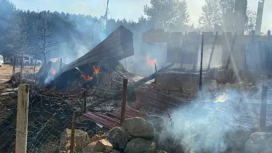 Mezarlıkta saklanan kundakçı yakalandı