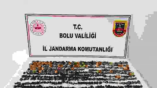 Bolu'da 2 milyon liralık salep cezasına isyan edip çatıya çıktı