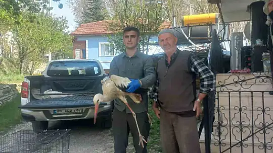 Bolu'da 3 ayda 15 yaban hayvanı tedavi edilerek doğaya salındı
