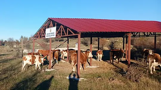 Bolu'da 44 kadına 2 milyon liralık hibe destekli kredi