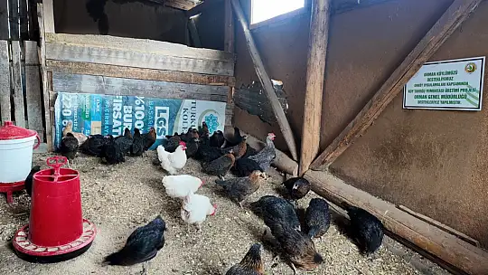 Bolu'da 44 kadına 2 milyon liralık hibe destekli kredi