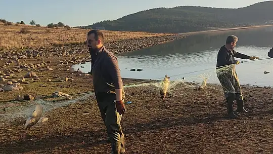 Bolu'da 5 kilometrelik hayalet ağ toplandı: 500 balık canlı kurtarıldı