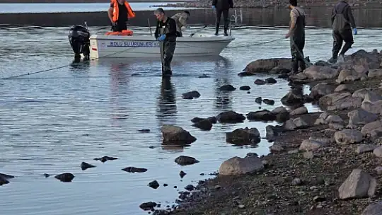 Bolu'da 5 kilometrelik hayalet ağ toplandı: 500 balık canlı kurtarıldı
