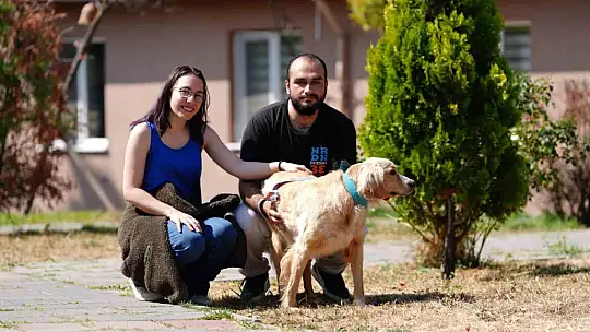 8 ayda 621 kedi ve köpek sahiplendirildi