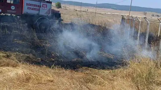 Bolu'da anız yangını büyümeden söndürüldü