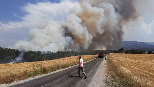 Bolu'da anız yangını ormana sıçradı