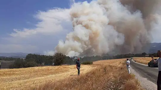 Bolu'da anız yangını ormana sıçradı